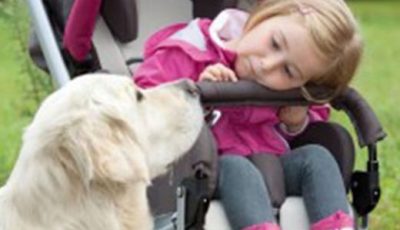 Kind in Reha Kinderwagen oder Rollstuhl mit Hund als Beispiel für Kinderhilfsmittel bei Saniplus Baunatal